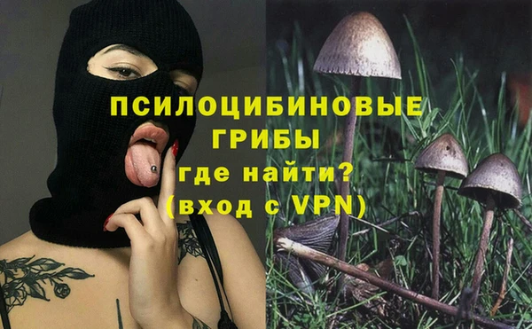 apvp Алексеевка