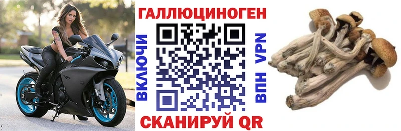 Галлюциногенные грибы Cubensis  Константиновск 